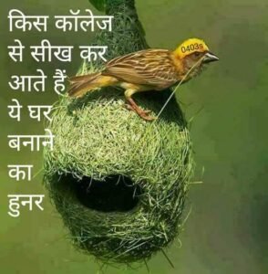 "महान पुरुष महान पैदा नहीं होते हैं, वे महान होते हैं"  वे सच्चाई जानते हैं कि हर कोई शून्य पर शुरू होता है। कोई भी व्यक्ति सफलता में पैदा नहीं हुआ था।